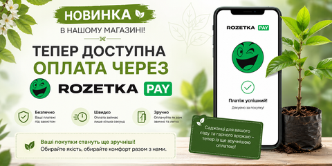 Rozetka Pay